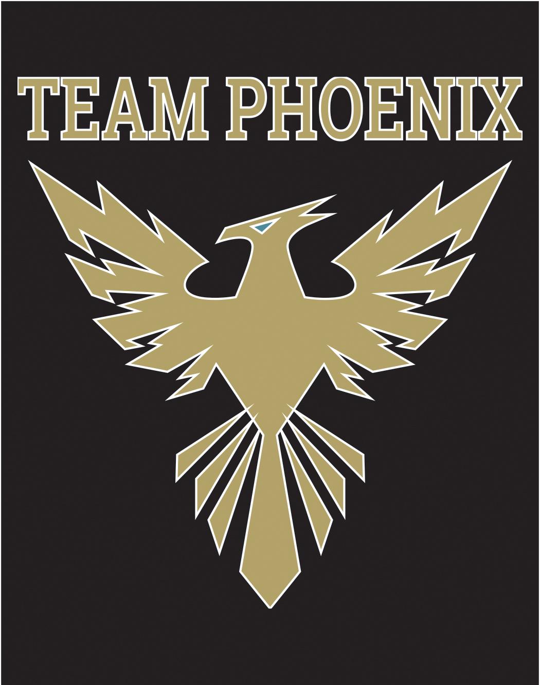 Team 11 Logo