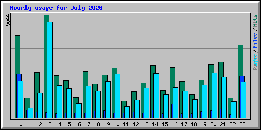 Hourly usage for July 2026