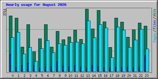 Hourly usage for August 2026
